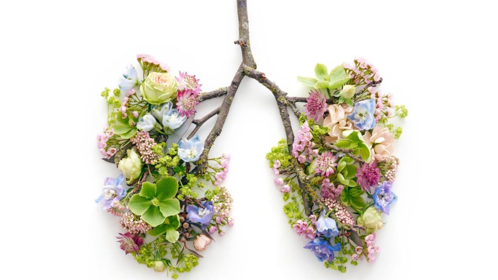 Flowers and twigs in the shape of a pair of lungs.